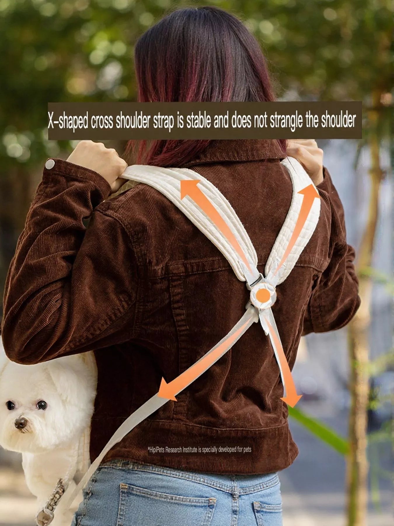 249ea605-8c40-48be-932d-90962402e948-Max-Origin