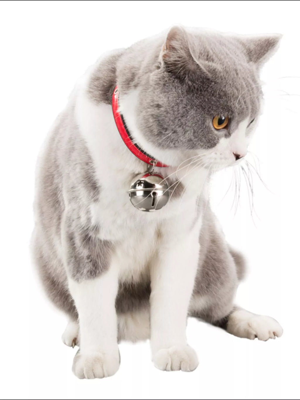 359b704a-0486-4a81-b82c-faba5e399d45-Max-Origin