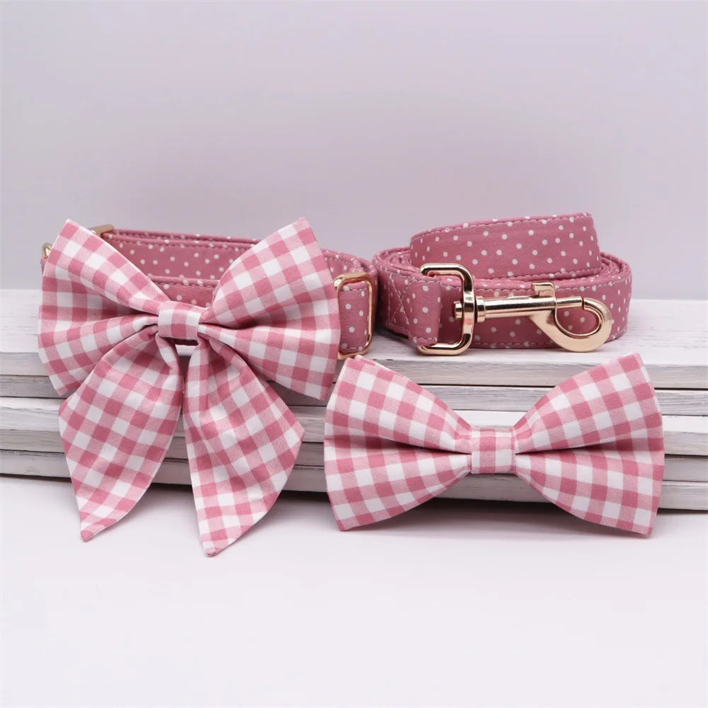 ឈុតដើរលេង Daisy Picnic