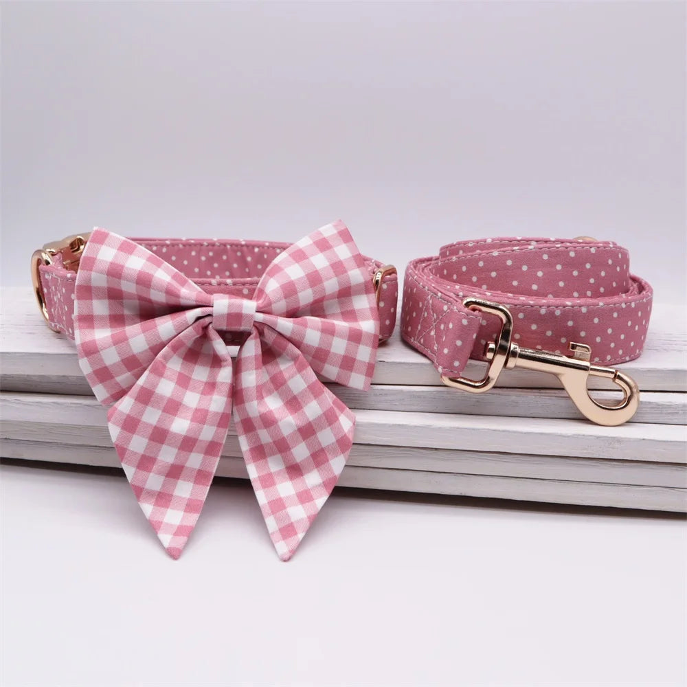 ឈុតដើរលេង Daisy Picnic