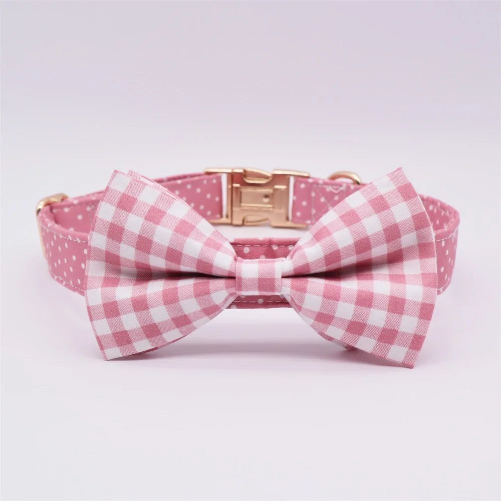 ឈុតដើរលេង Daisy Picnic