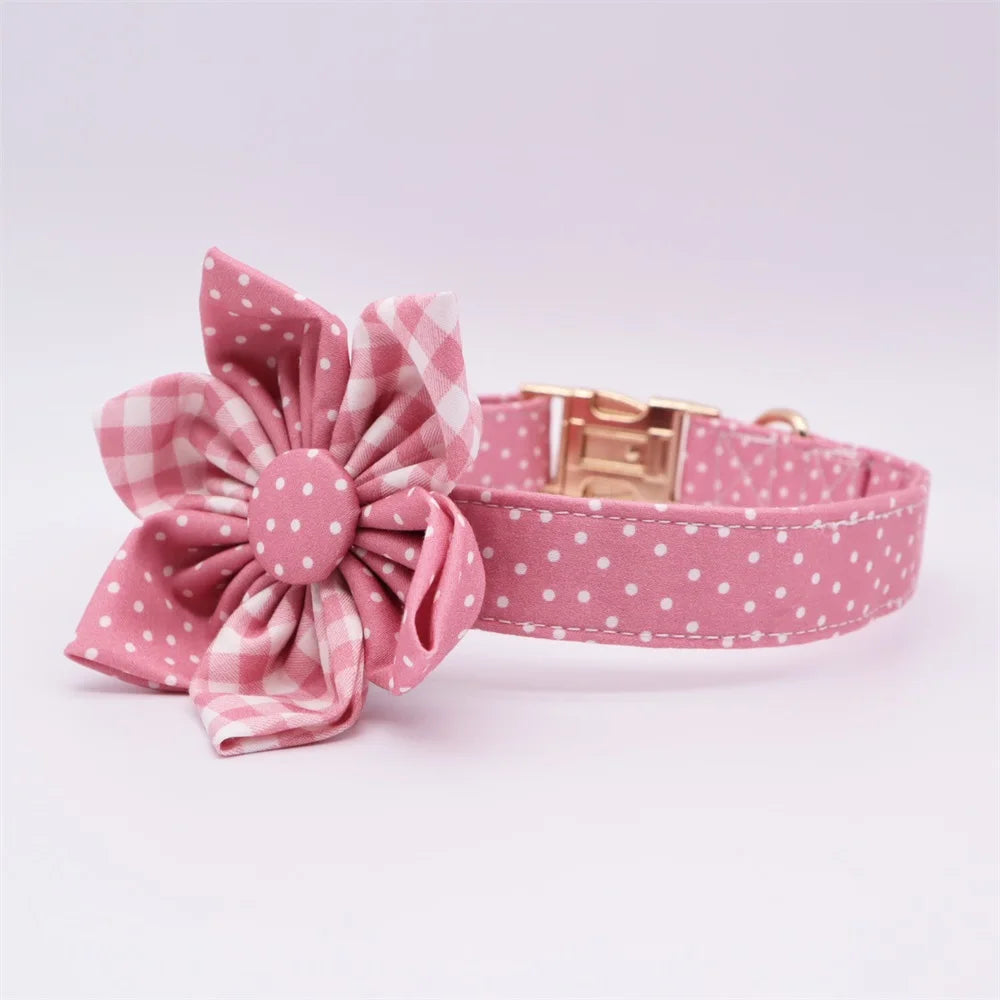ឈុតដើរលេង Daisy Picnic
