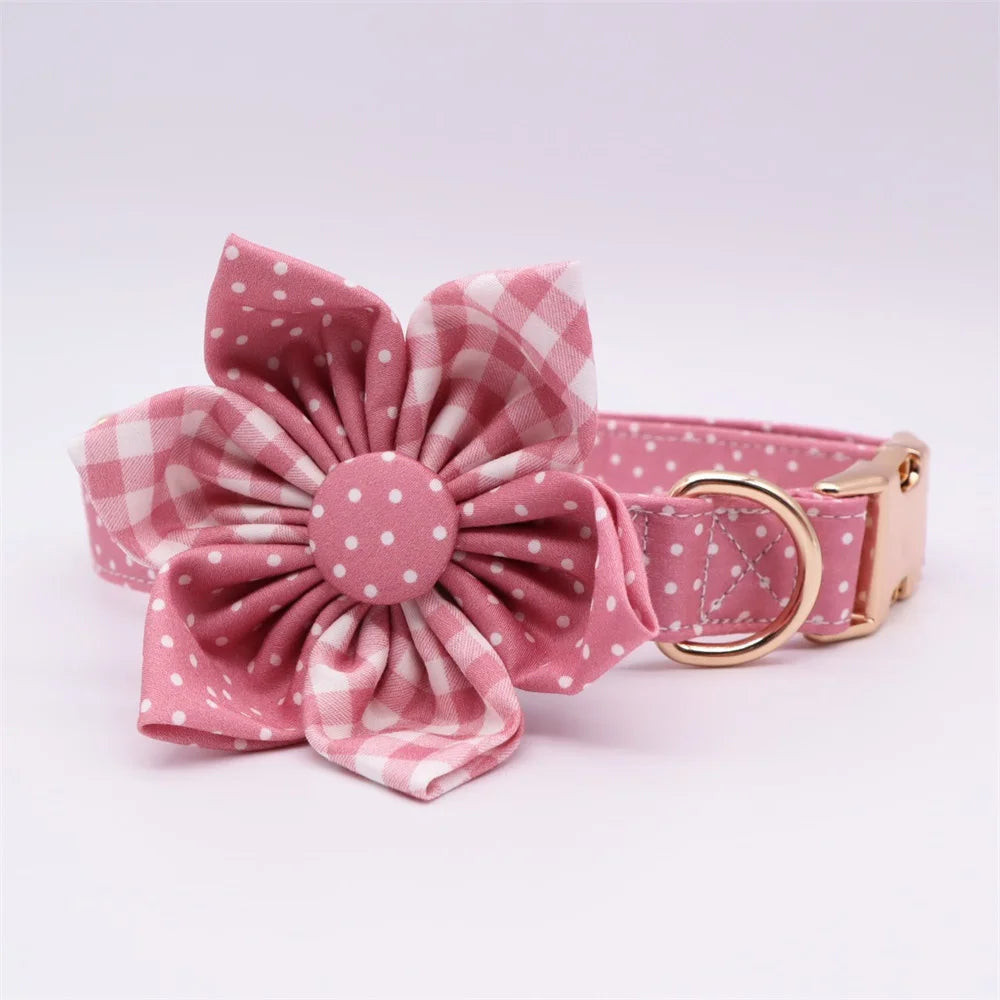 ឈុតដើរលេង Daisy Picnic