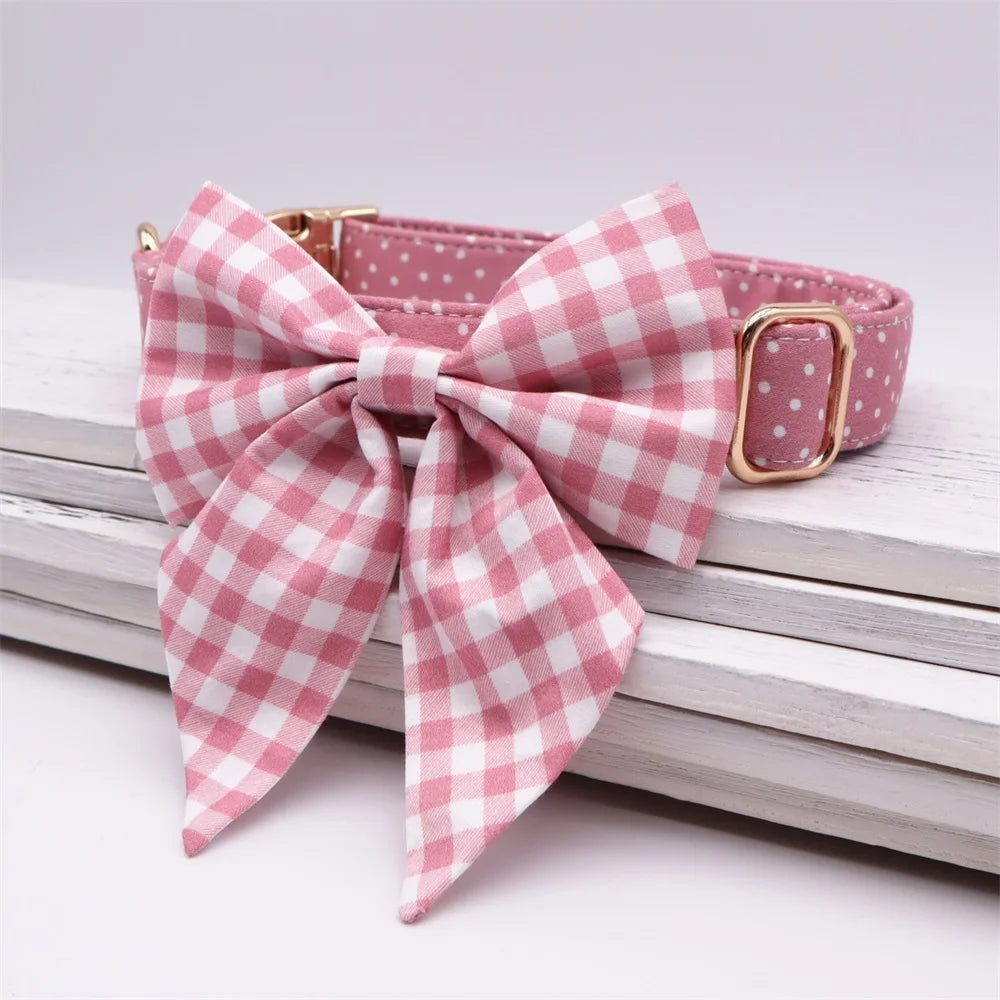 ឈុតដើរលេង Daisy Picnic