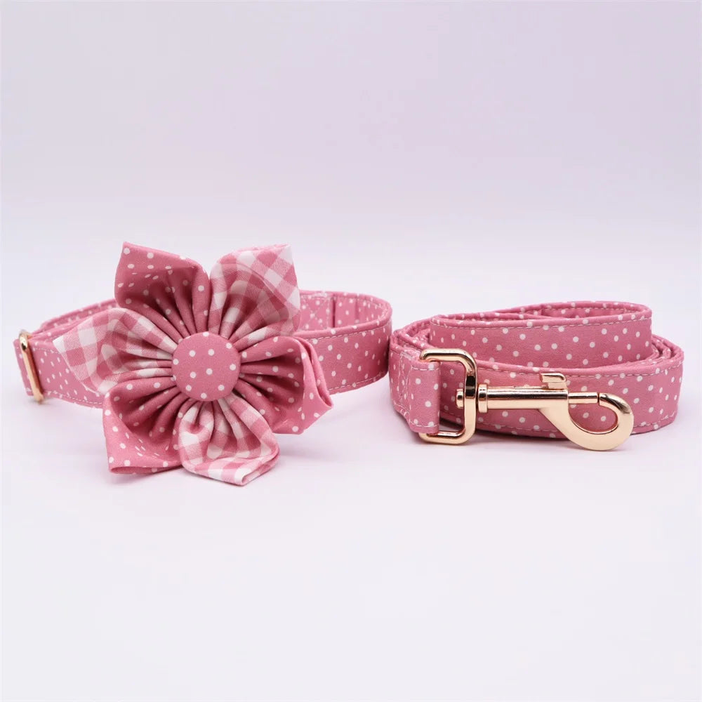 ឈុតដើរលេង Daisy Picnic