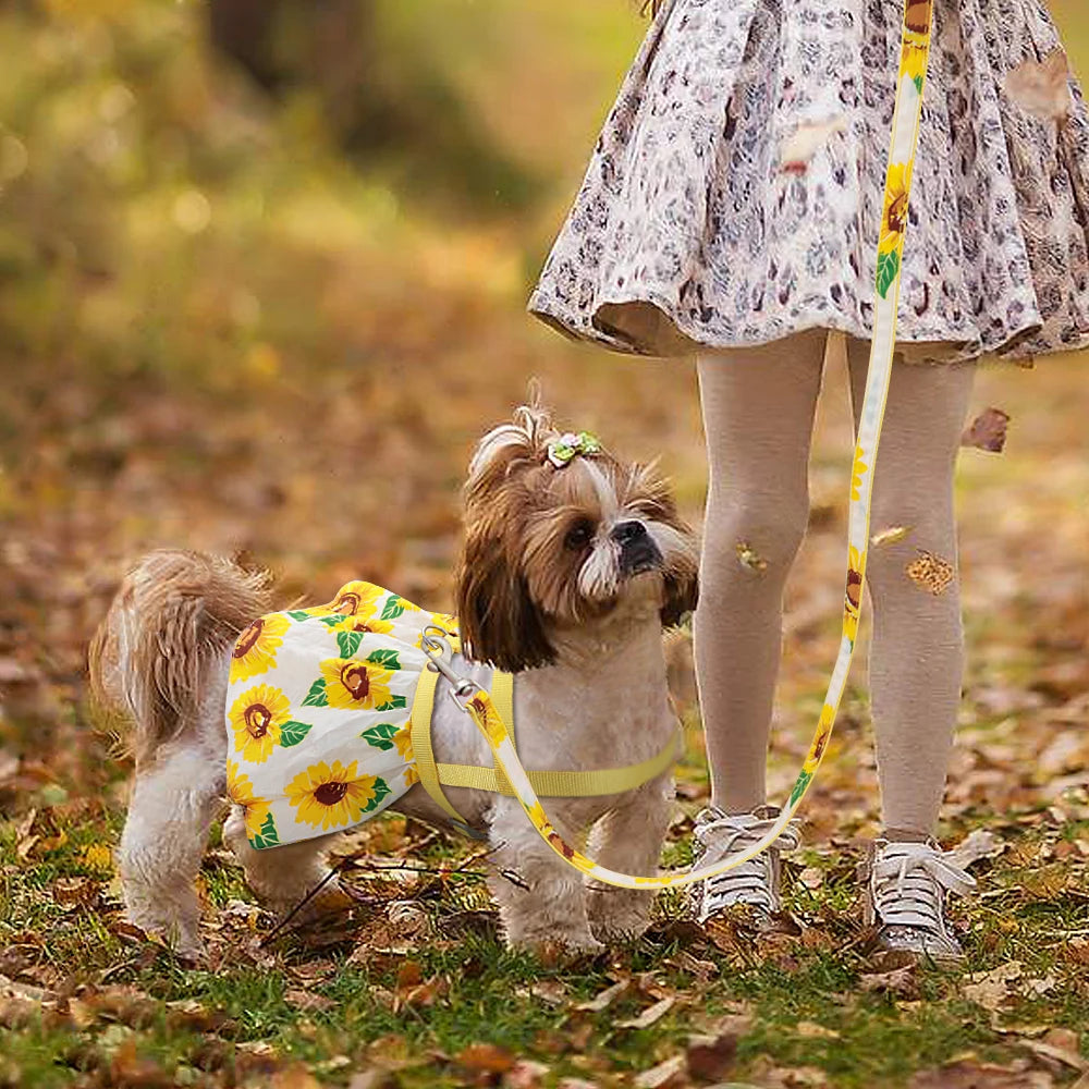 រ៉ូប​កអាវ Daisy