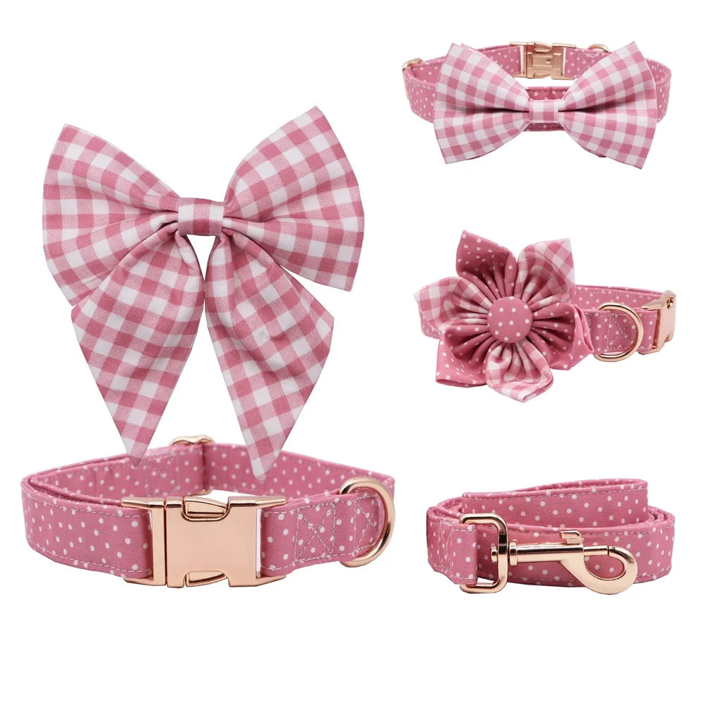 ឈុតដើរលេង Daisy Picnic