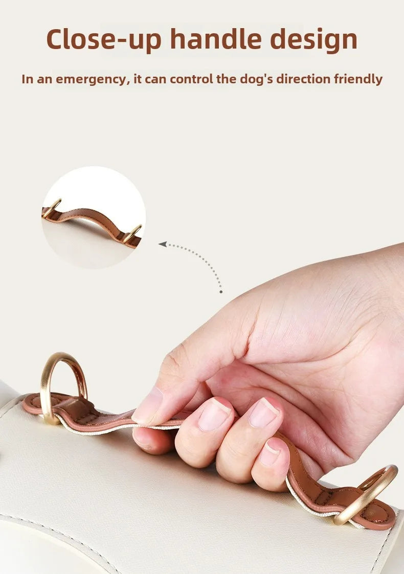 អ្នកគ្រប់គ្រង