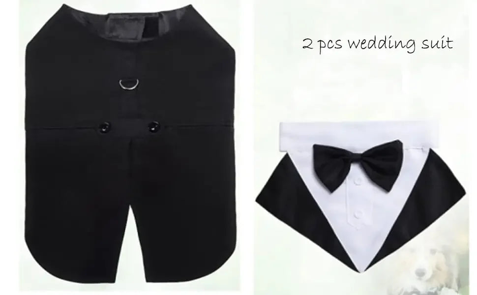 ឈុត Tuxedo សម្រាប់សត្វចិញ្ចឹម