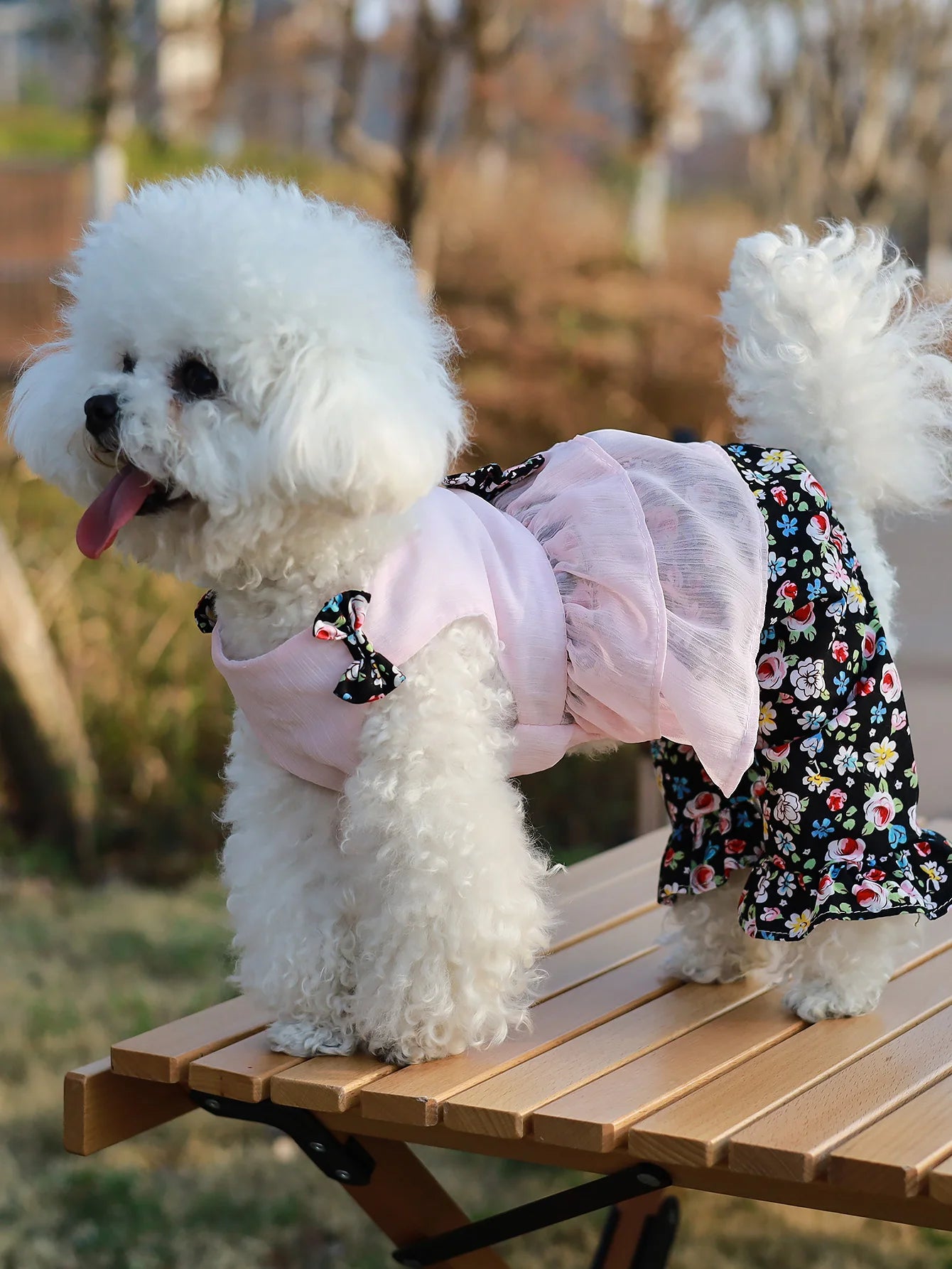 ឈុតហែលទឹក Daisy