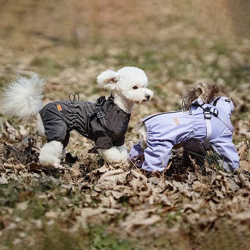 子犬用反射レインコート