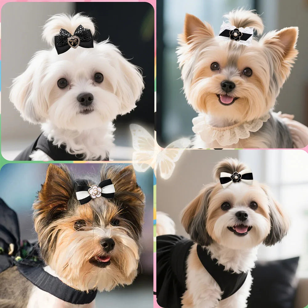 កិបសក់ COCO Bow