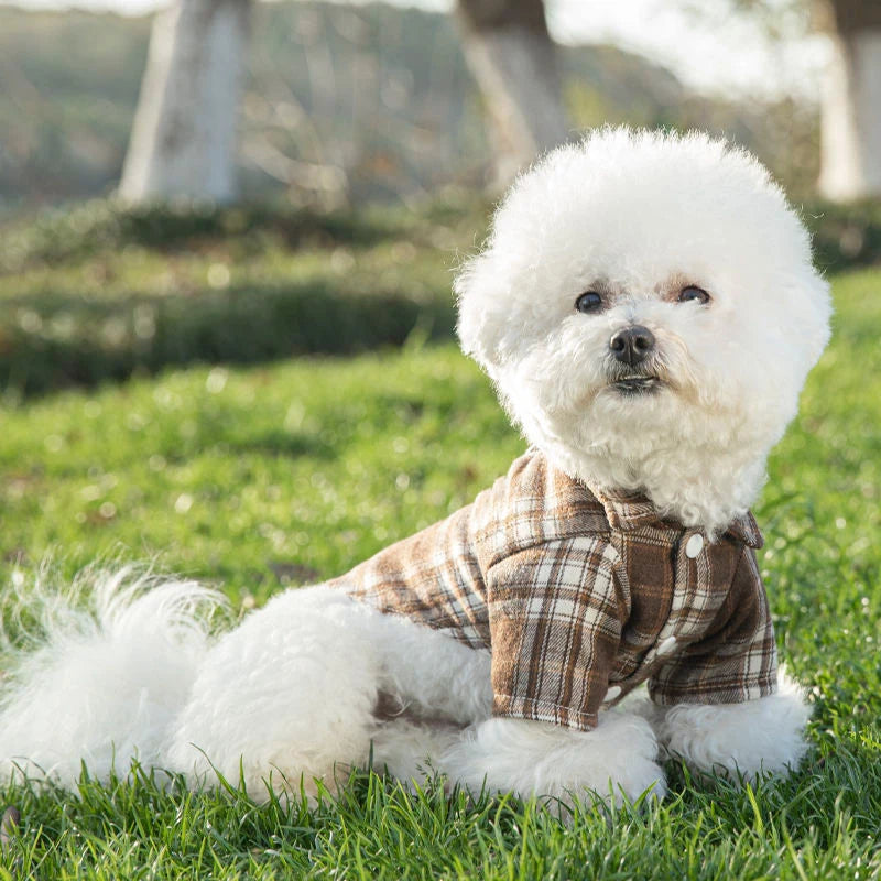 Furbaby Plaid