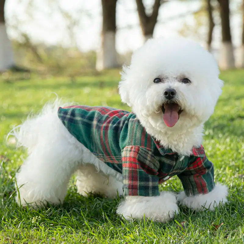 Furbaby Plaid