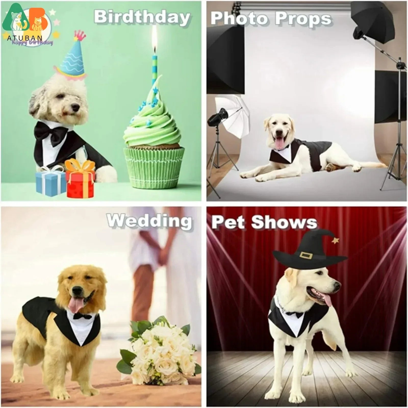 ឈុត Tuxedo សម្រាប់សត្វចិញ្ចឹម