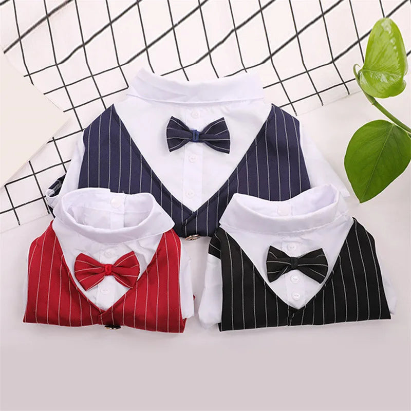ឈុត​ឆ្កែ​ដ៏​សុភាព