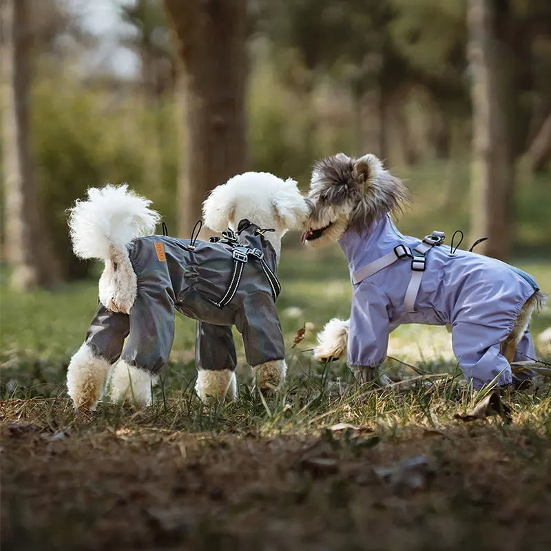 子犬用反射レインコート