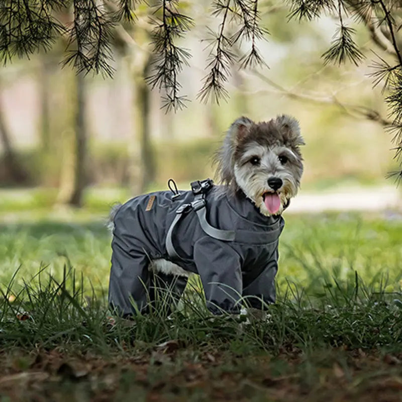 子犬用反射レインコート
