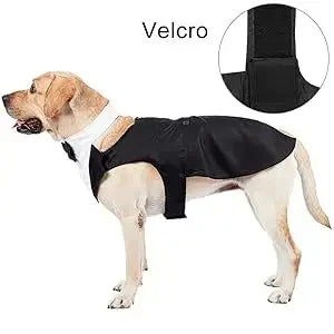 ឈុត Tuxedo សម្រាប់សត្វចិញ្ចឹម