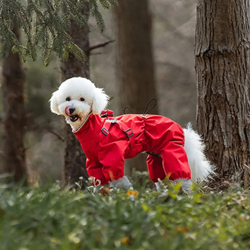 子犬用反射レインコート