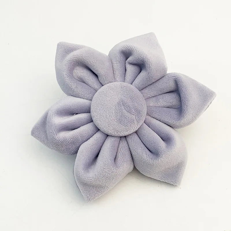 ឈុតអាវវែង និងខោជើងវែង ម៉ូដ Velvet Royal