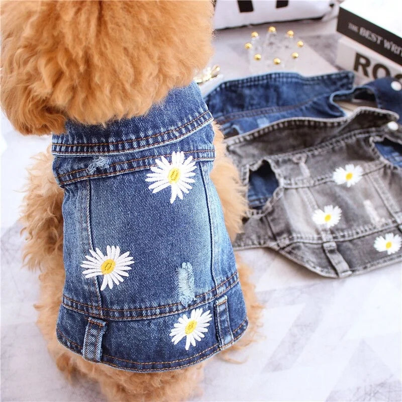 Denim Jackets for $19.99