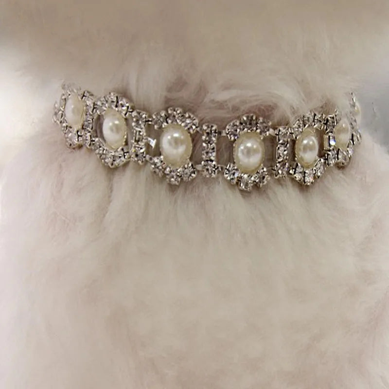 COCO Royal Collar
