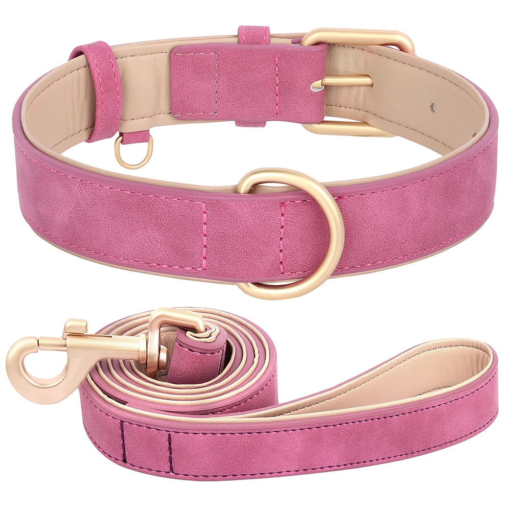 Chic & Simple Collar Leash