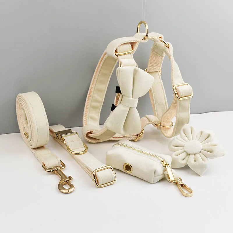 Princess Walking Set