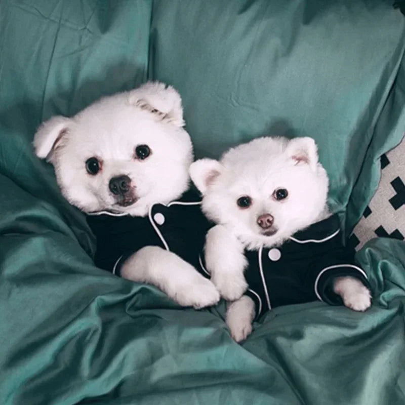 ឈុតគេងយប់ Furbaby Sleep tight