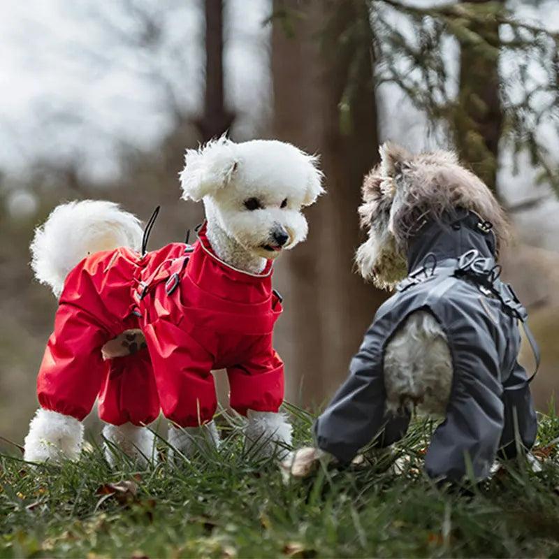 子犬用反射レインコート