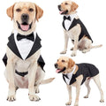 ឈុត Tuxedo សម្រាប់សត្វចិញ្ចឹម
