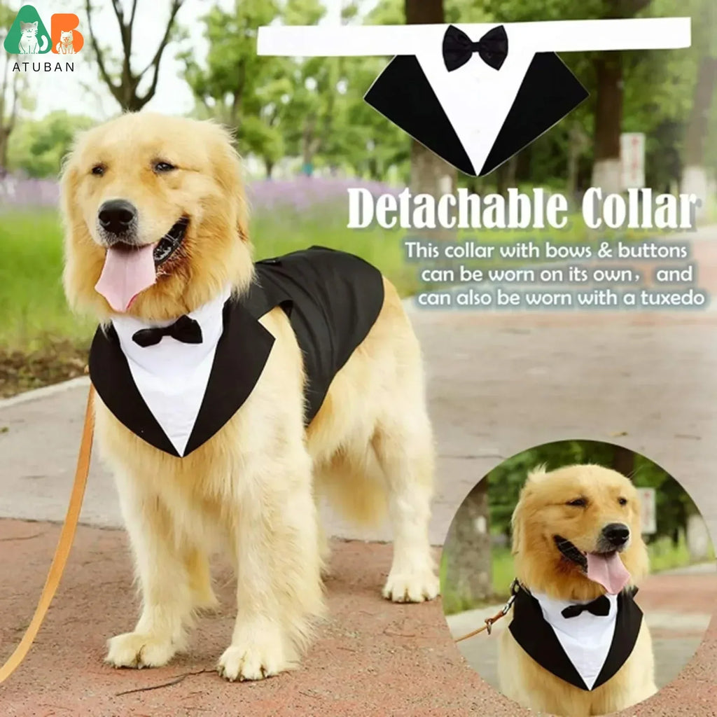 ឈុត Tuxedo សម្រាប់សត្វចិញ្ចឹម