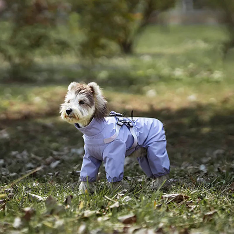 子犬用反射レインコート