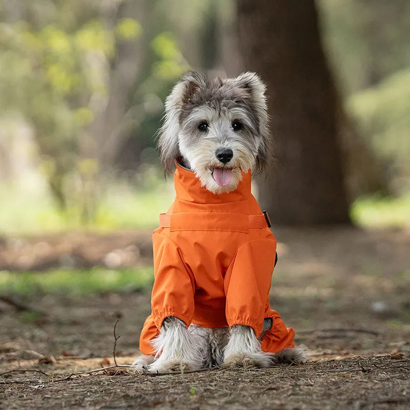 子犬用反射レインコート