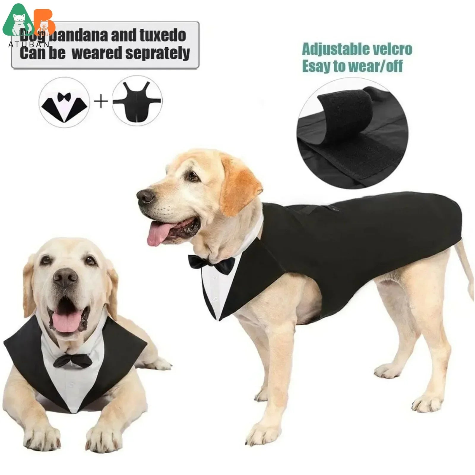 ឈុត Tuxedo សម្រាប់សត្វចិញ្ចឹម