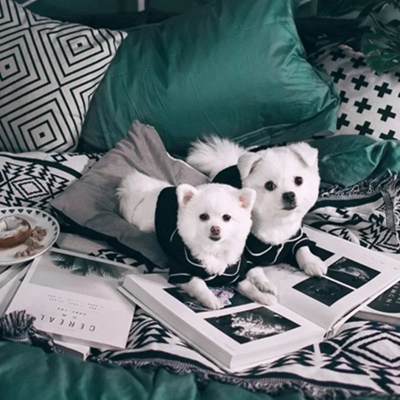 ឈុតគេងយប់ Furbaby Sleep tight