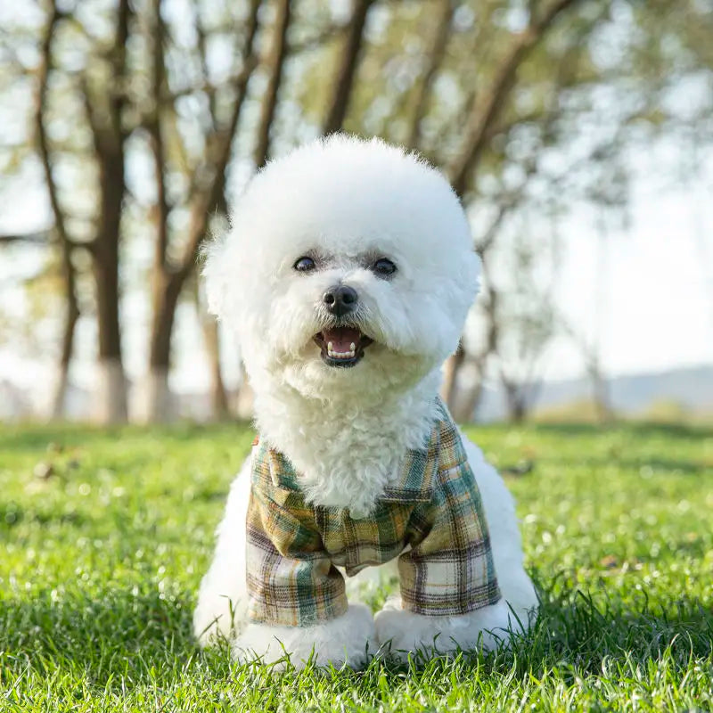 Furbaby Plaid