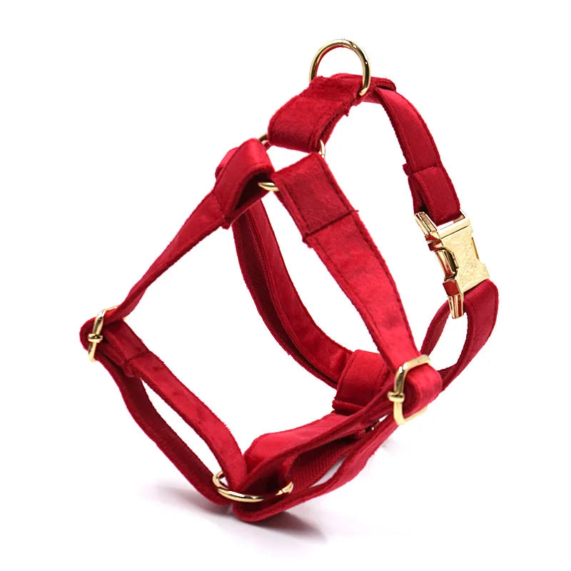 ឈុតអាវវែង និងខោជើងវែង ម៉ូដ Velvet Royal