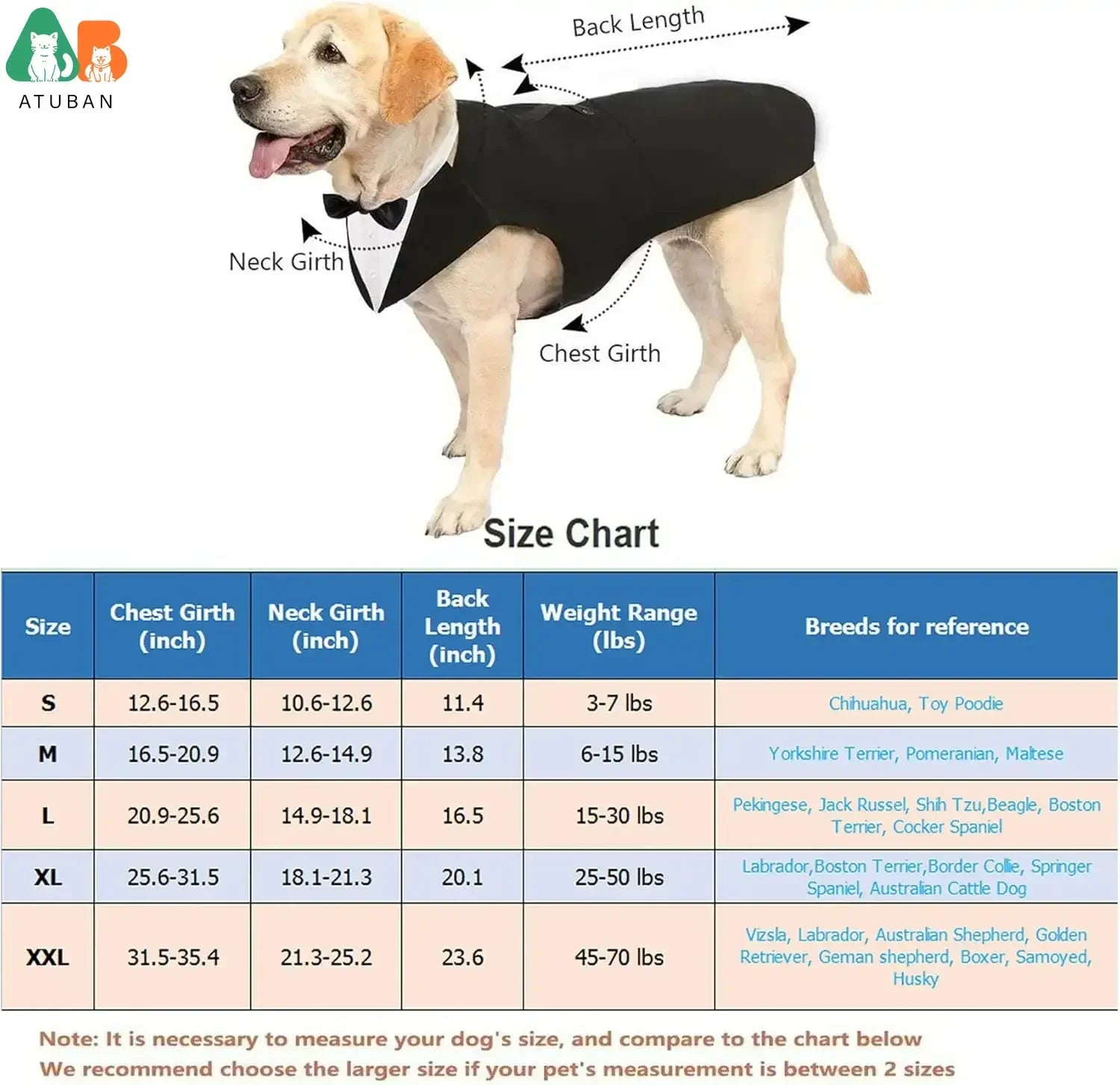 ឈុត Tuxedo សម្រាប់សត្វចិញ្ចឹម